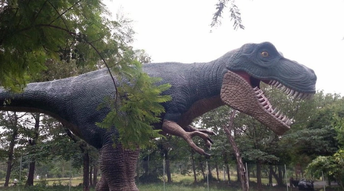 Islamabad Zoo
