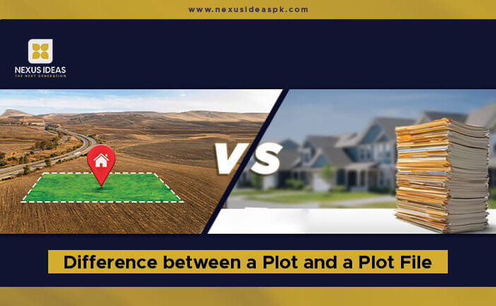 Differences between a Plot and a Plot File