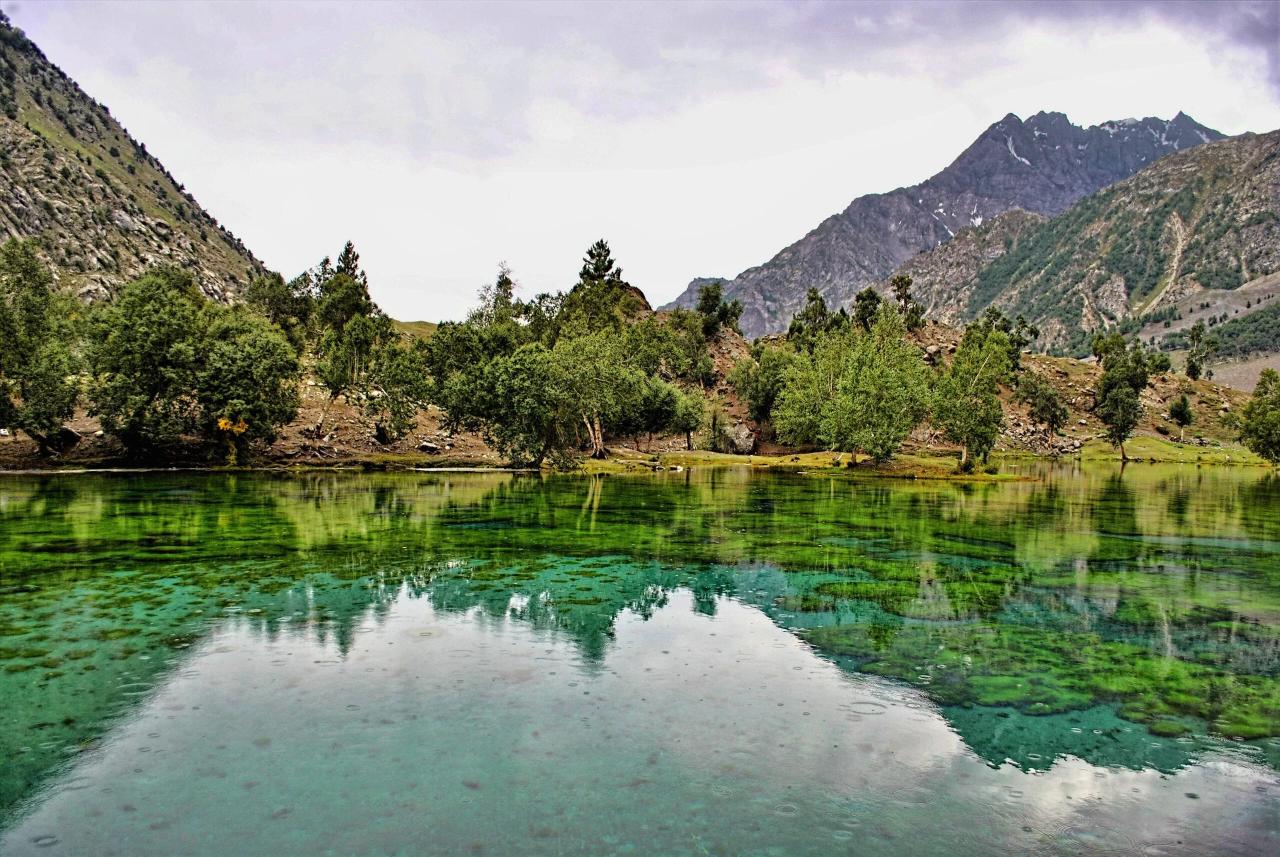 Naltar Valley