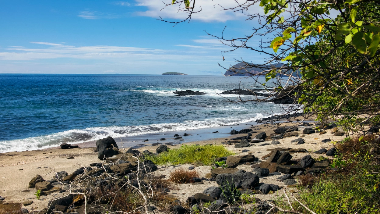 Galápagos Islands, Ecuador